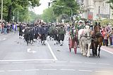 altenburg-trachtenfest-03-06-2012 (338)